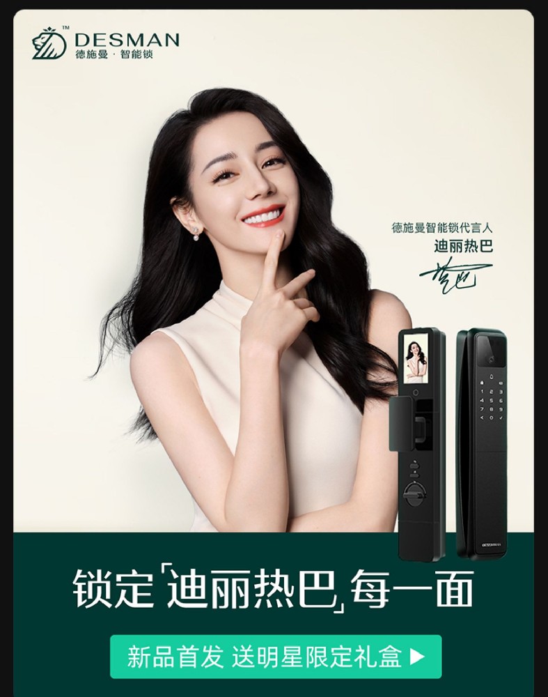 德施曼智能锁Q5M